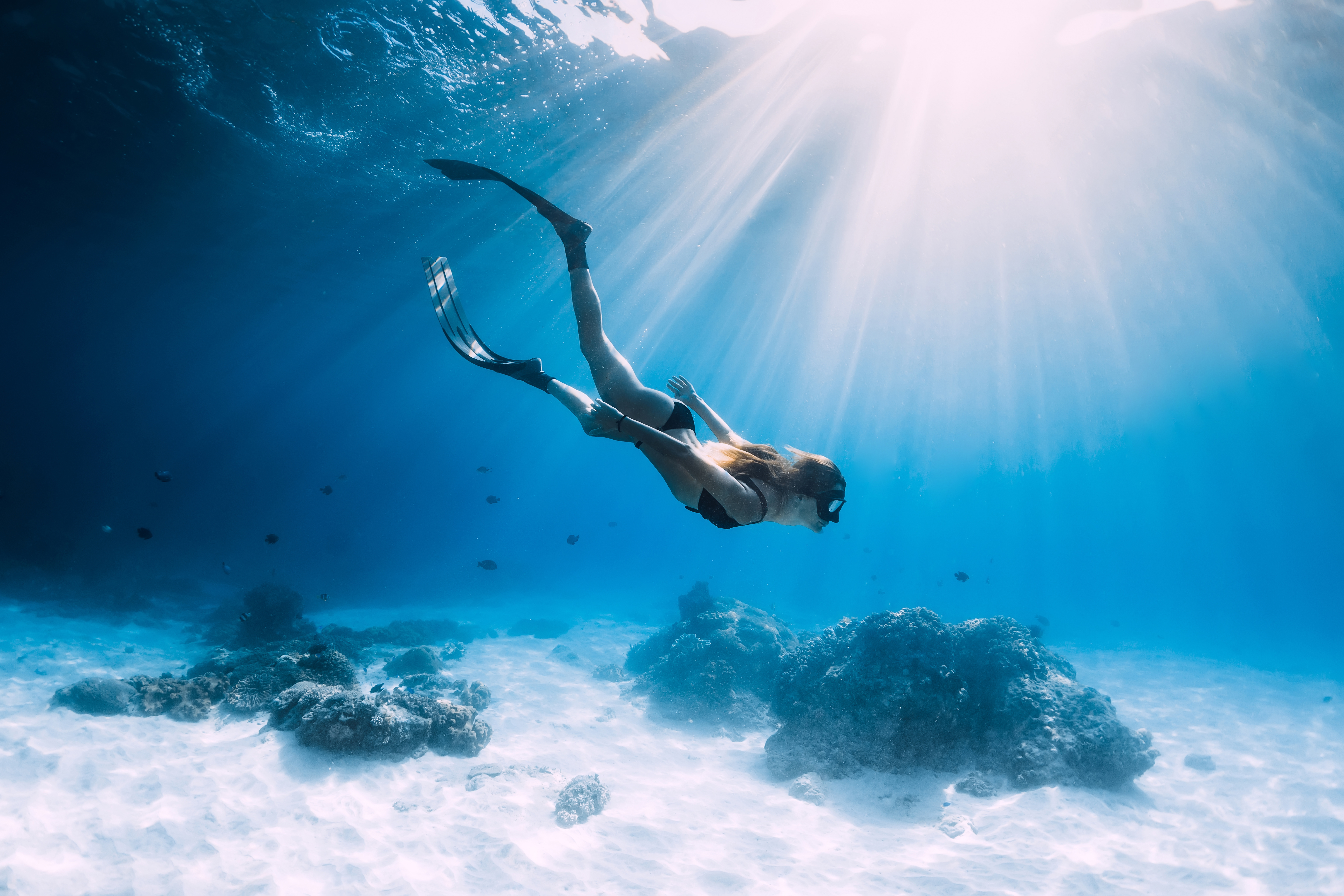 Unlock Instant Calm for Anxiety Relief: Harnessing the Diver's Reflex